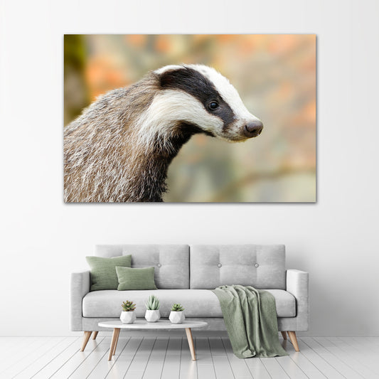 Woodland Badger Canvas Art