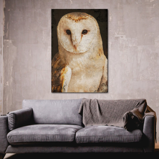 Barn Owl Gaze Rustic Canvas Wall Art