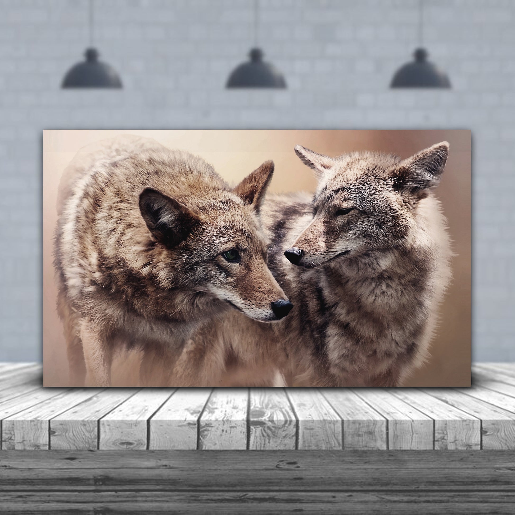 Coyote Pair in the Woods Canvas Wall Art