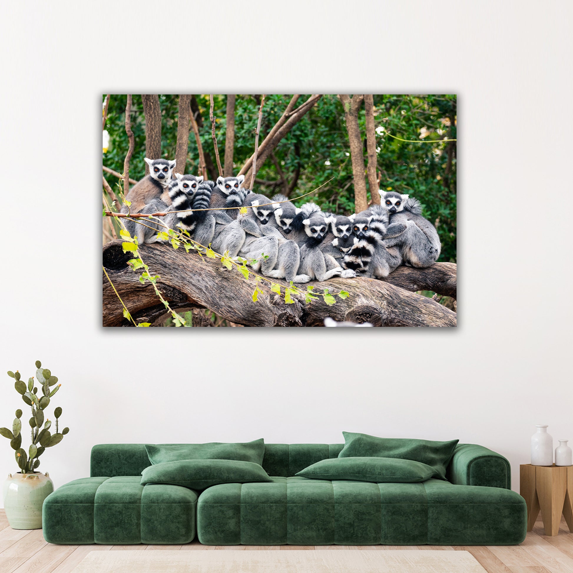 Ring-Tailed Lemur Canvas Wall Art from the Forest