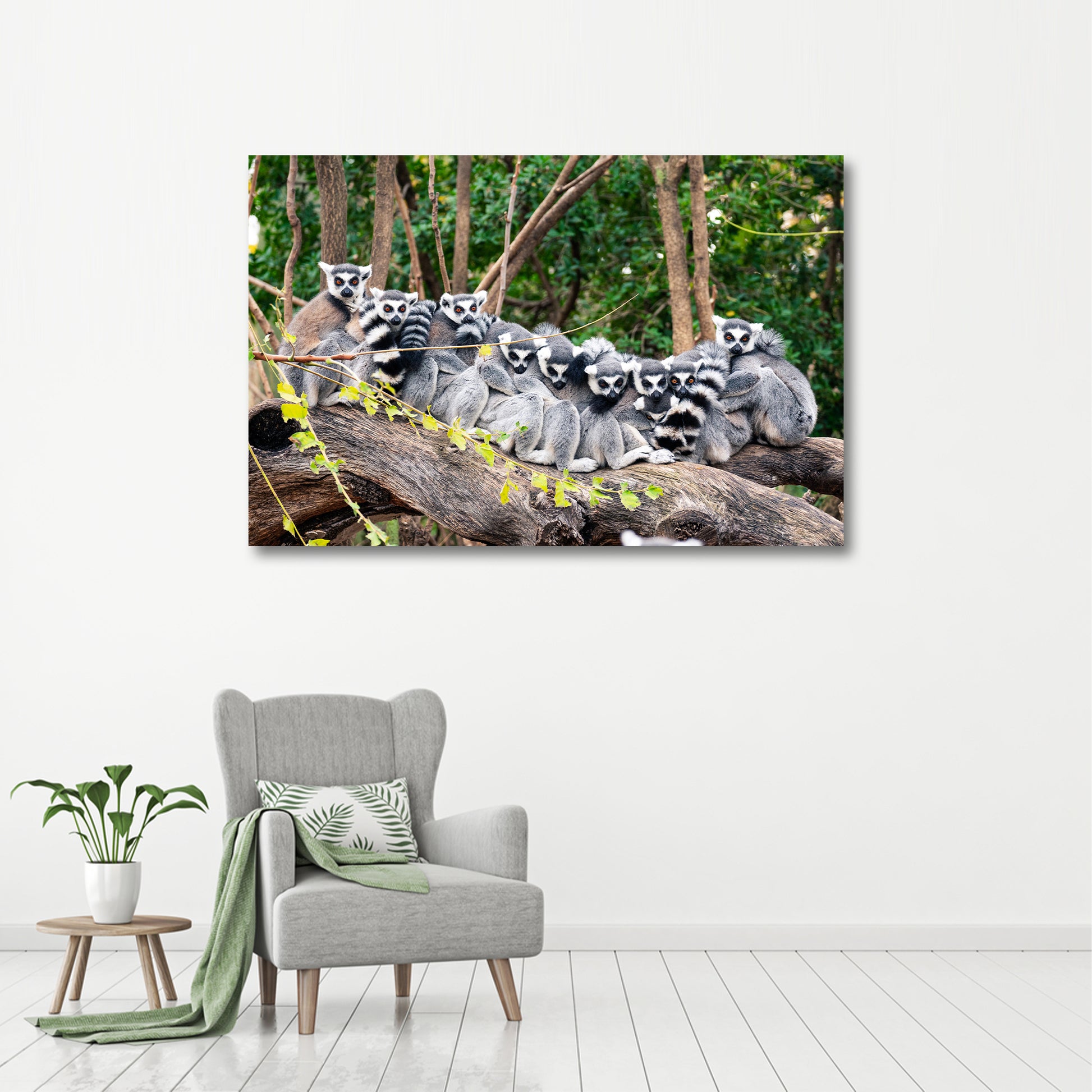 Ring-Tailed Lemur Canvas Wall Art from the Forest