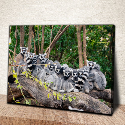 Ring-Tailed Lemur Canvas Wall Art from the Forest
