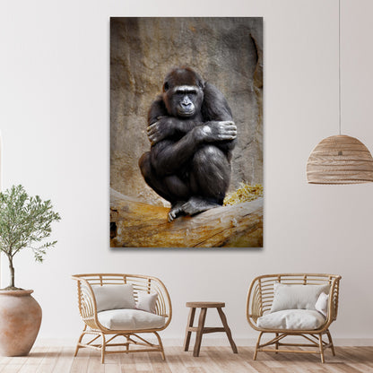 Monkey Striking a Pose Canvas Wall Art from the Forest