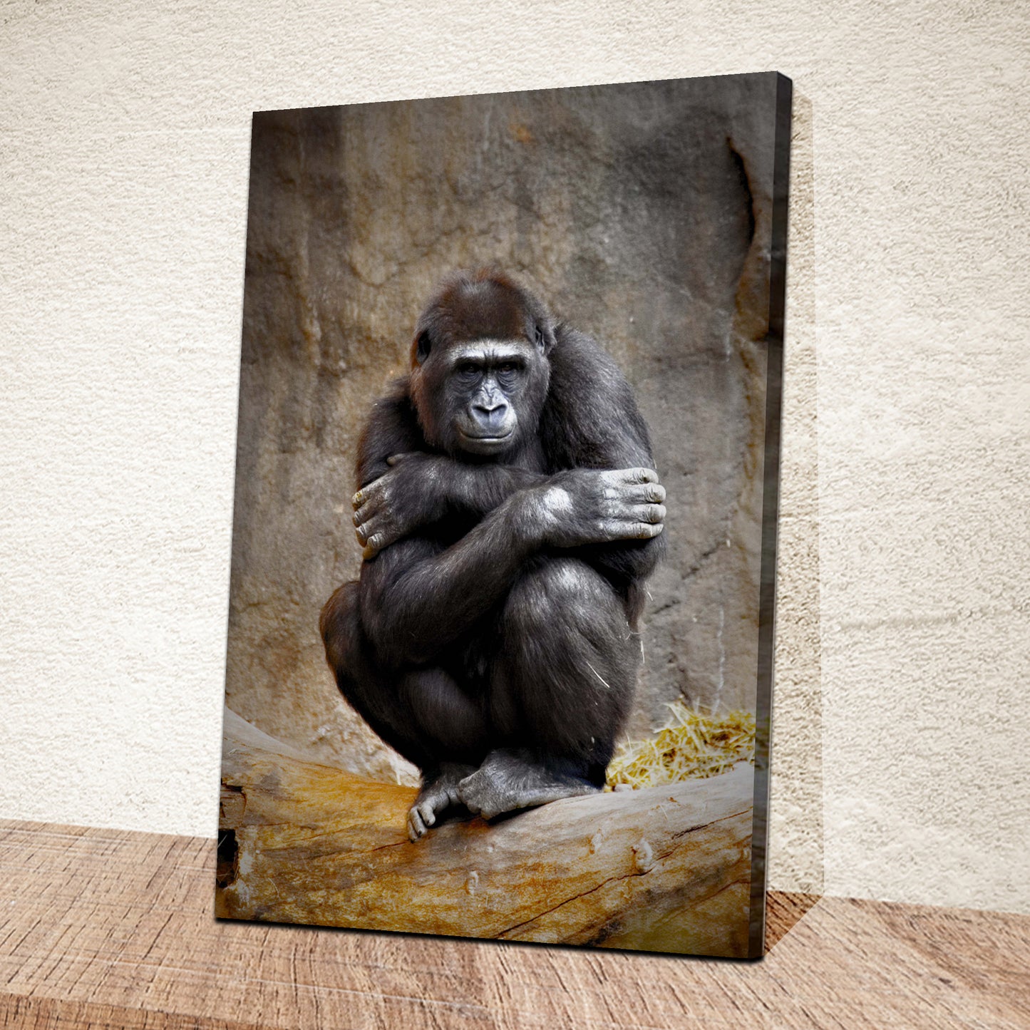 Monkey Striking a Pose Canvas Wall Art from the Forest