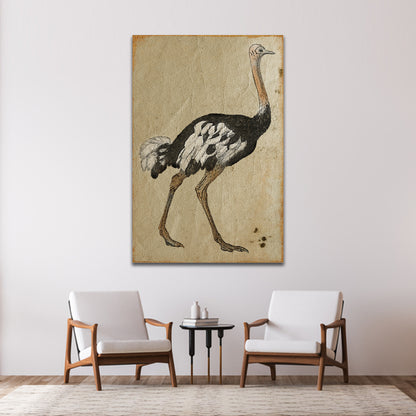 Vintage Ostrich Portrait Canvas Wall Art with Antique Charm