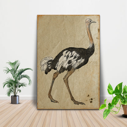 Vintage Ostrich Portrait Canvas Wall Art with Antique Charm