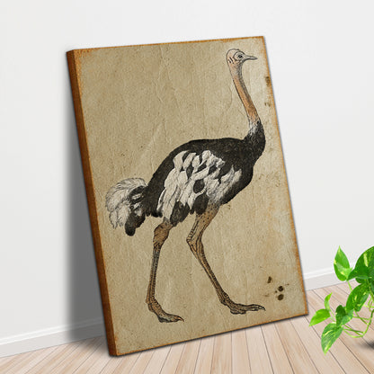 Vintage Ostrich Portrait Canvas Wall Art with Antique Charm