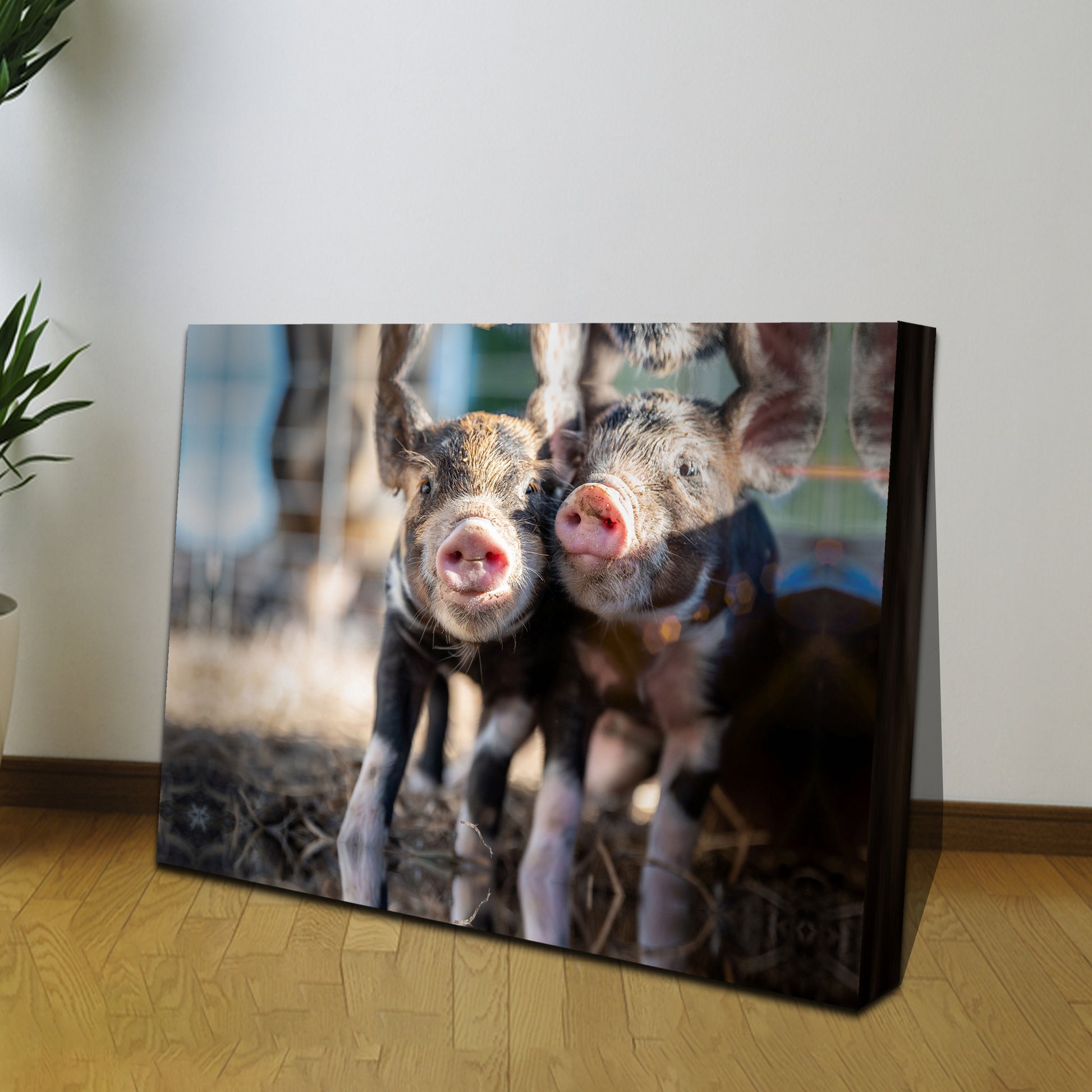 Charming Piglet Portraits Canvas Wall Art