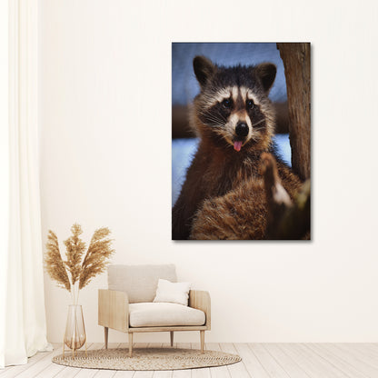 Cute Critter Raccoon Canvas Wall Art from the Forest