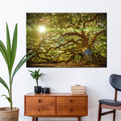 Ancient Oak Tree Portrait Canvas