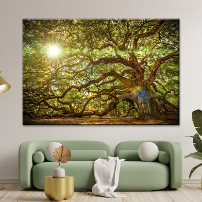 Ancient Oak Tree Portrait Canvas