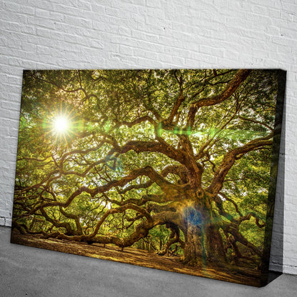 Ancient Oak Tree Portrait Canvas