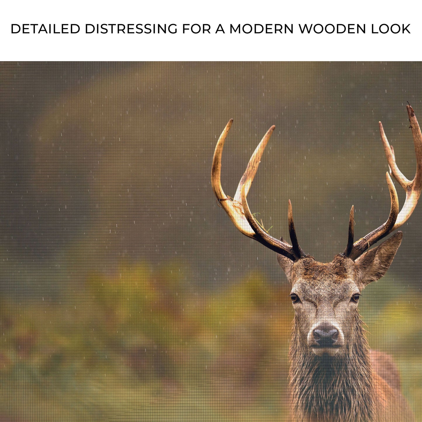 Deer with Antlers in Misty Forest Canvas Wall Art
