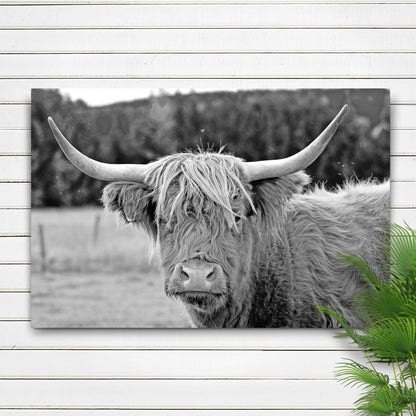 Highland Tranquility Cow Canvas Wall Art II