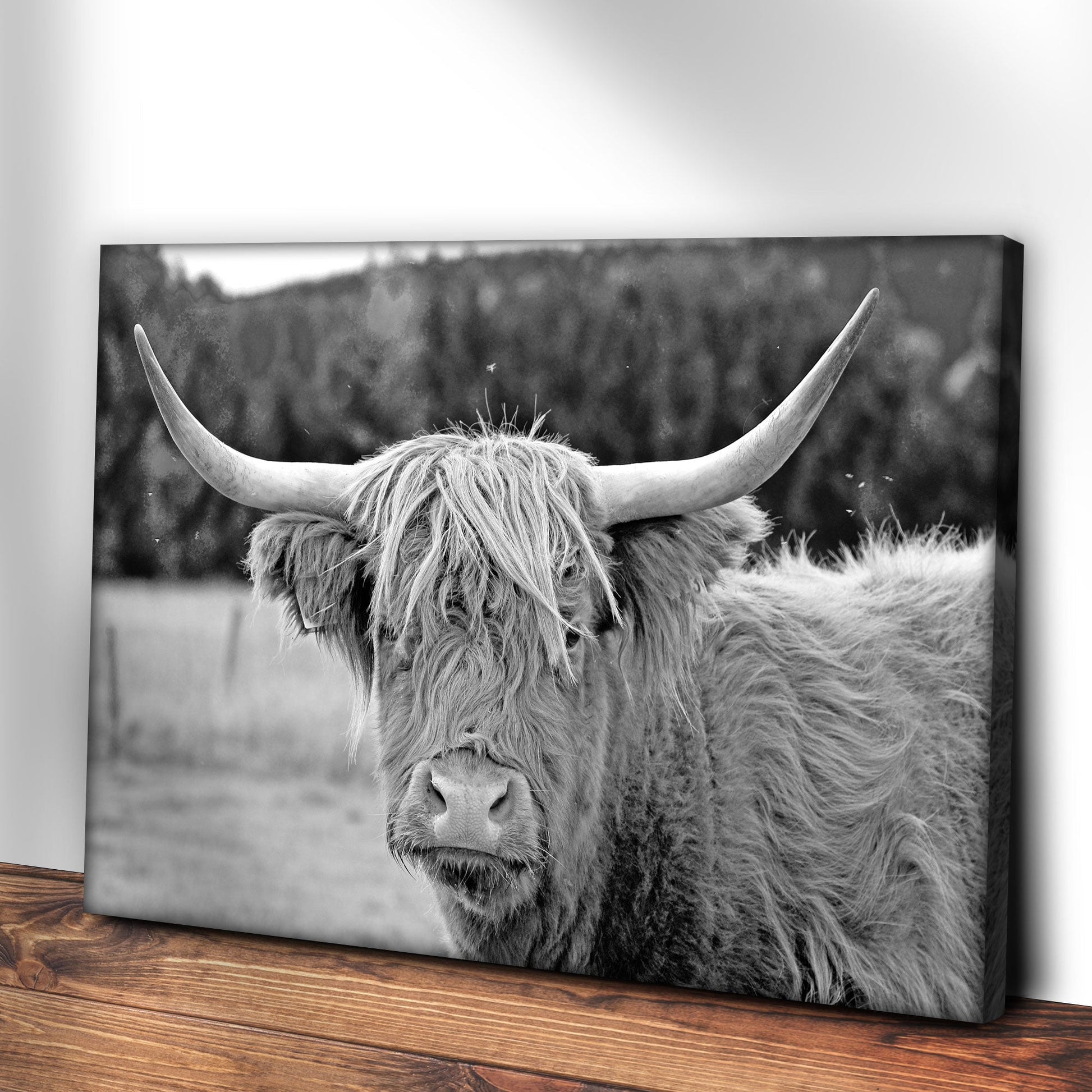 Highland Tranquility Cow Canvas Wall Art II
