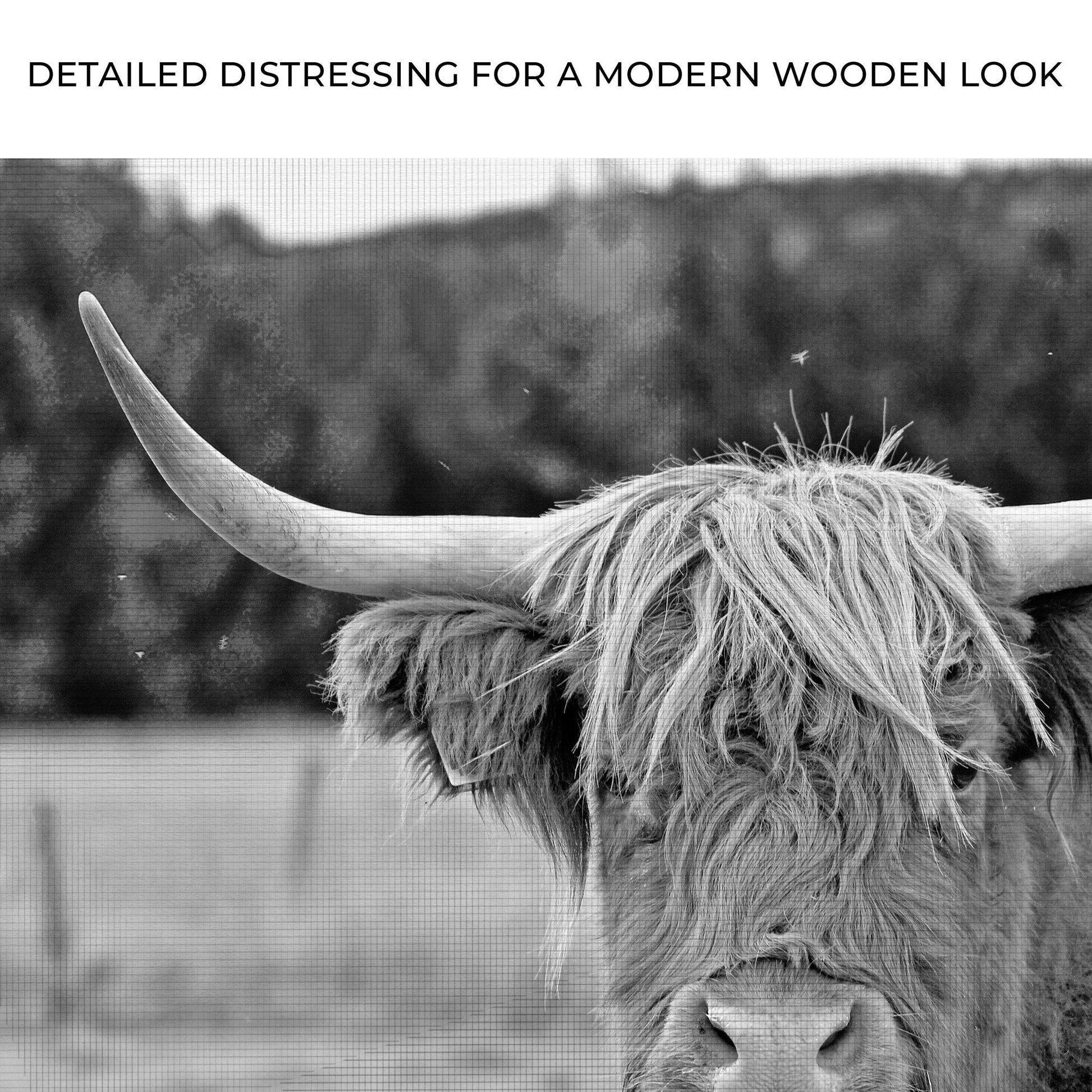 Highland Tranquility Cow Canvas Wall Art II