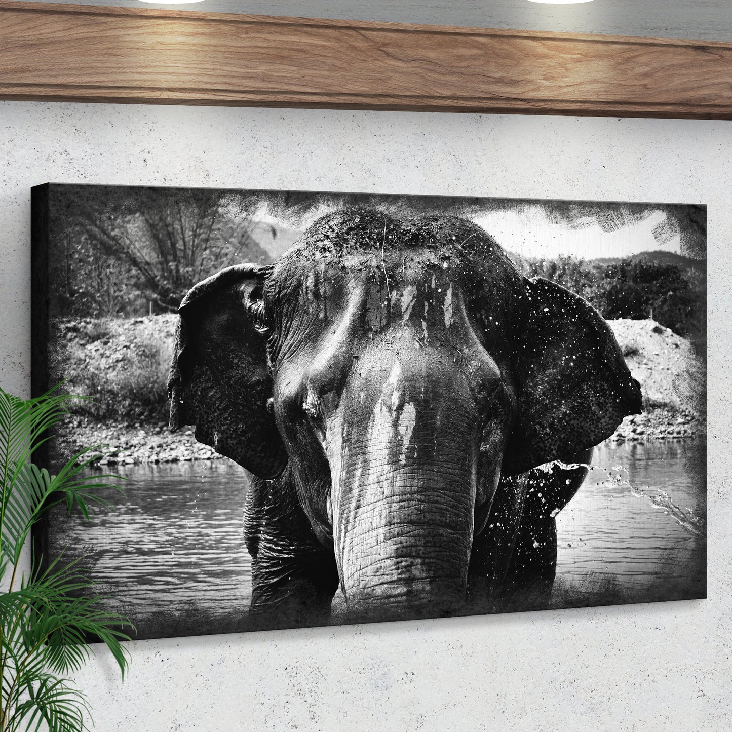 Wet Elephant in Black and White Canvas Wall Art