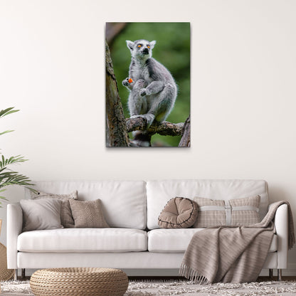 Stunned Lemur Expression  Canvas Wall Art