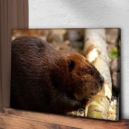 Beaver Feeding on Branch Canvas Wall Art in the Woods