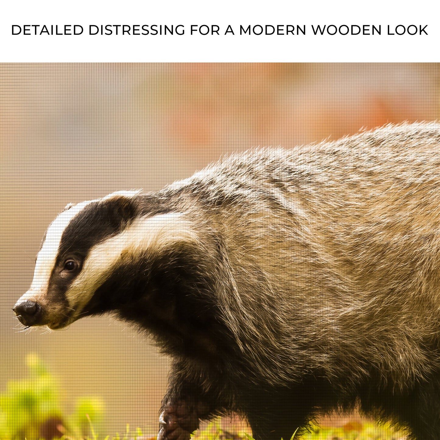 Forest-Dwelling Badger and Apple Harvest Canvas