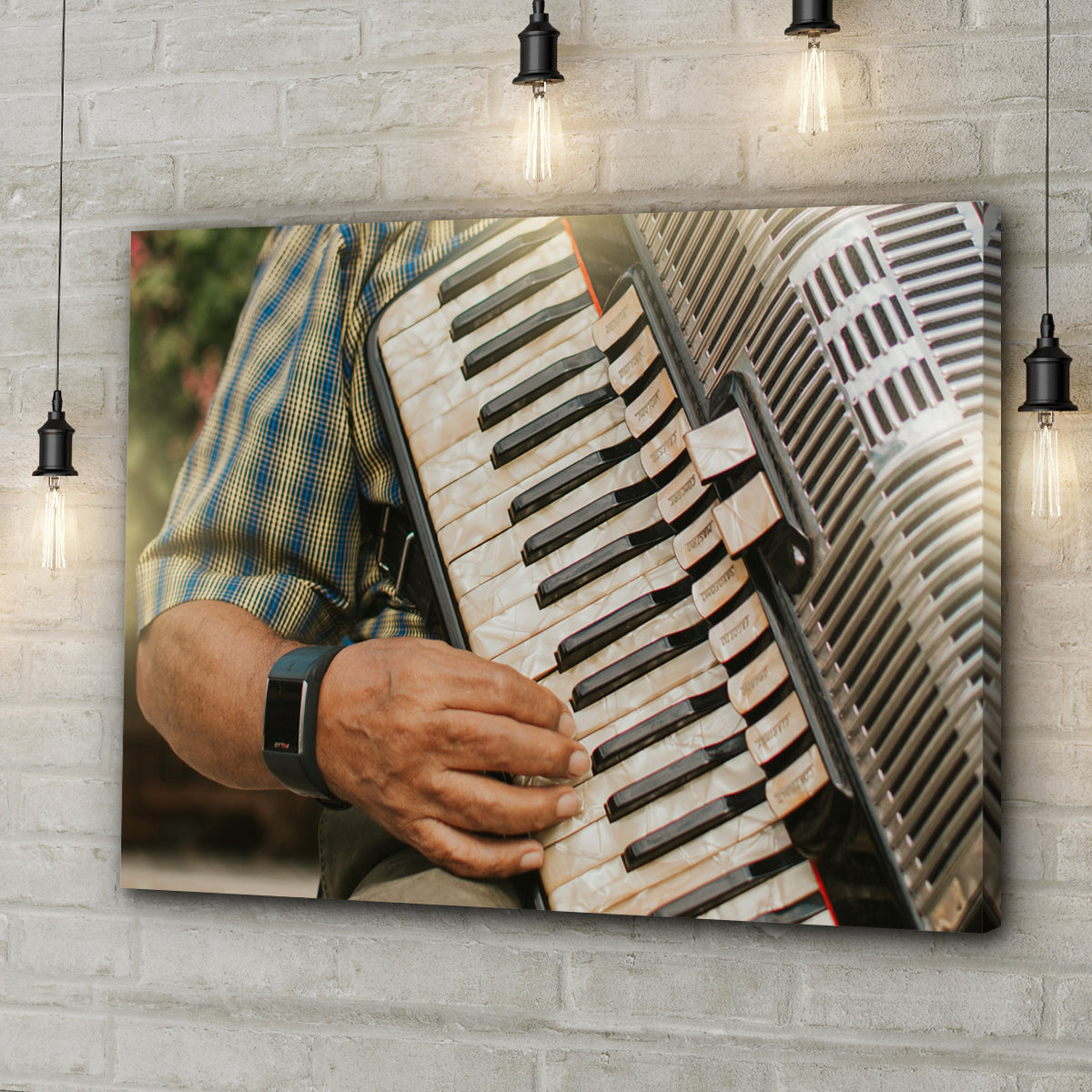 Accordionist's Canvas Performance