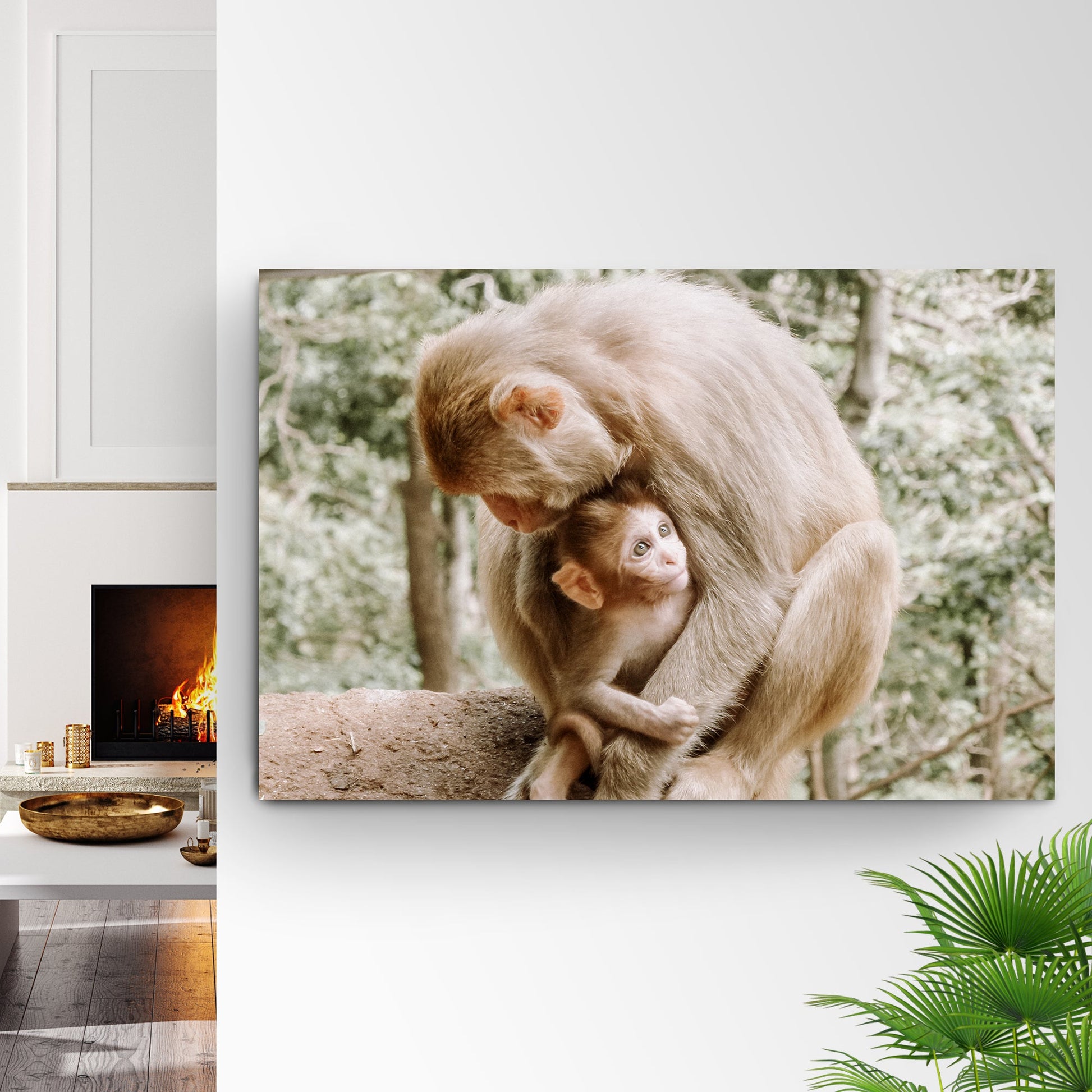 Mother and Child Monkey Duo Canvas Wall Art from the Forest