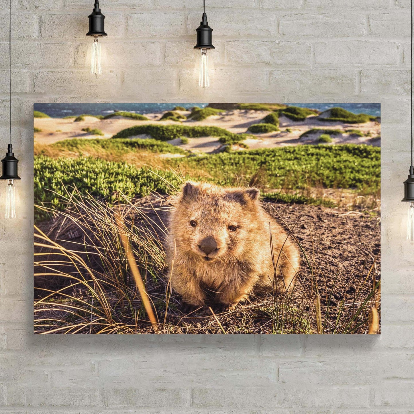 Wombat on the Grass  Canvas Wall Art in the Forest