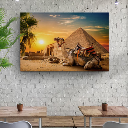 Giza Majesty  Camel at Giza Canvas Wall Art
