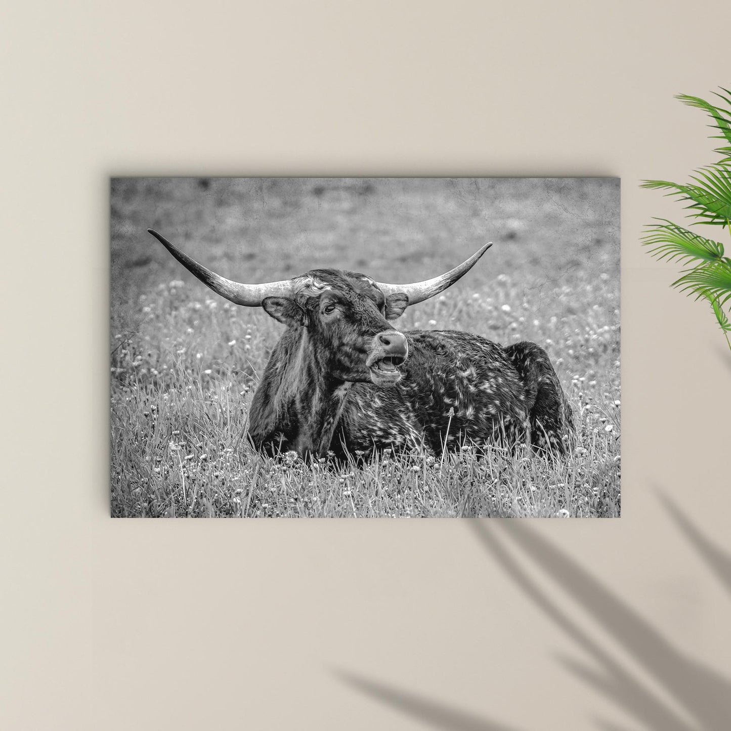 Longhorn Bull Majesty in Monochrome Canvas Wall Art