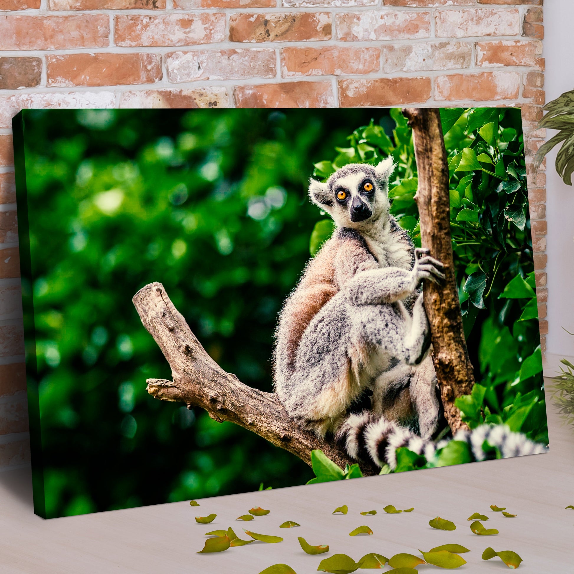 Wild Lemur Adventures  Canvas Wall Art in the Forest
