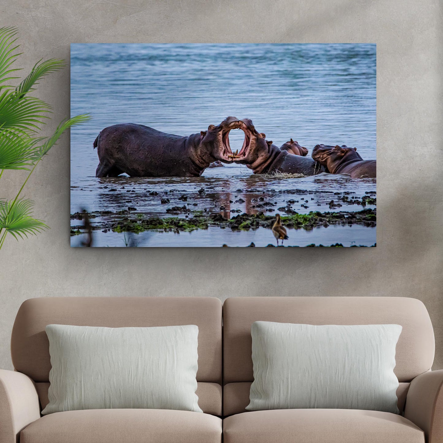 Hippo Havoc Clash of Hippos Canvas Wall Art