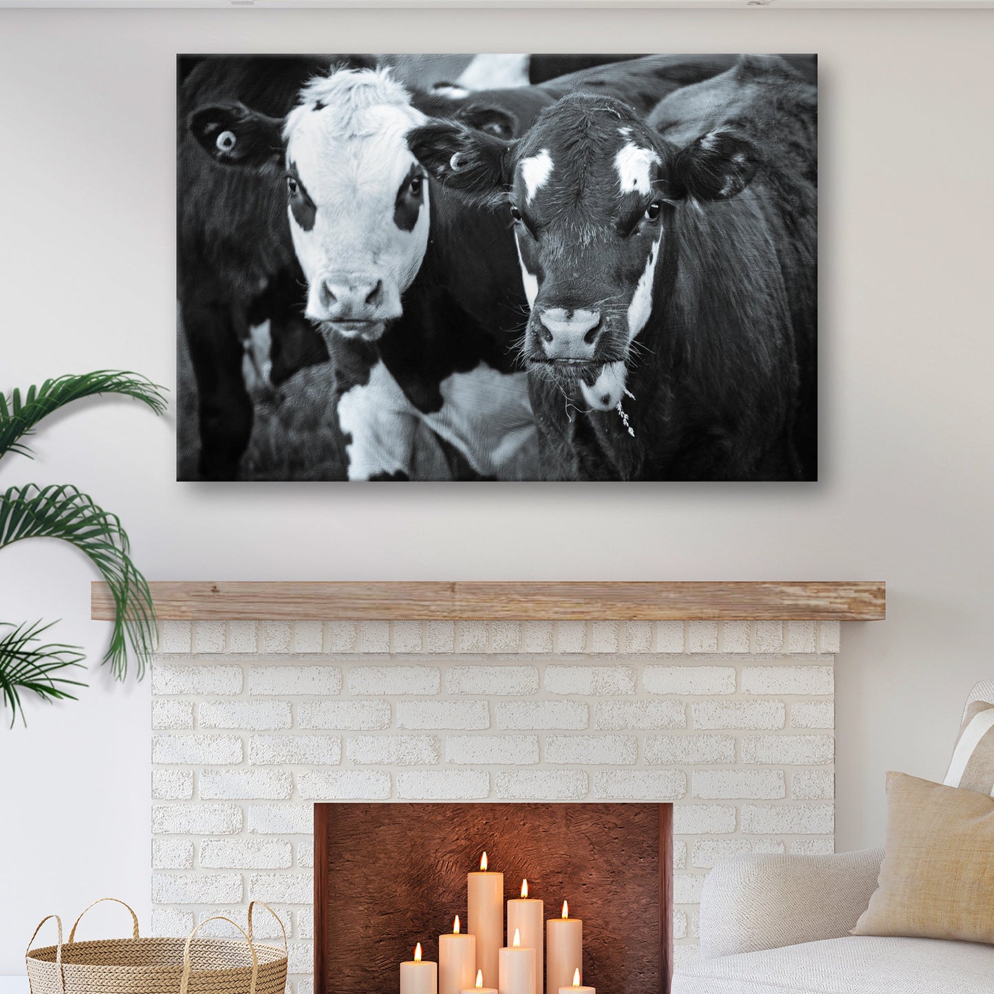 Grazing in Monochrome Cows Canvas Wall Art