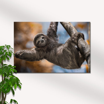 Sloth Relaxing on a Tree  Canvas Wall Art in the Woods