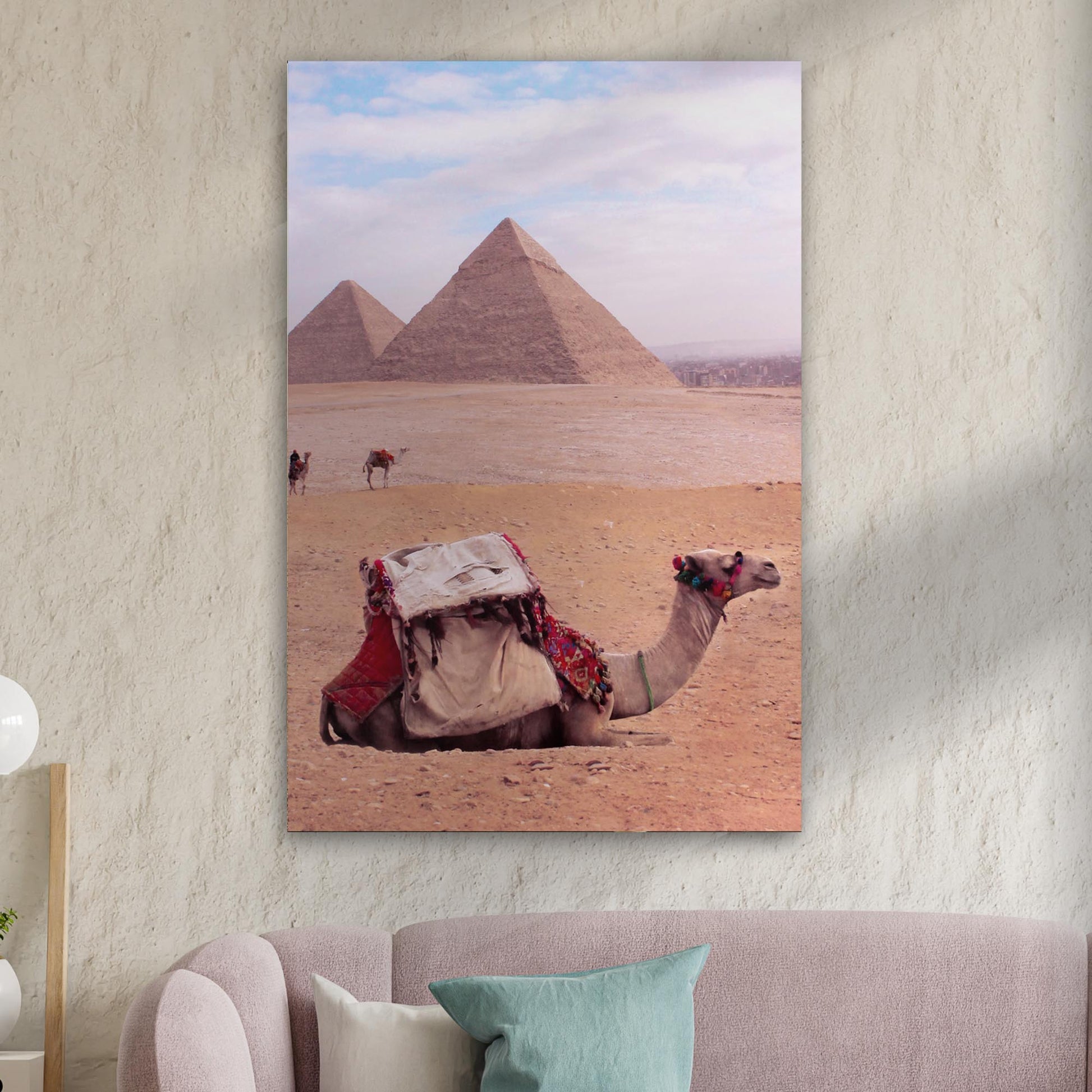 Giza Gaze  Camel in Giza Canvas Wall Art