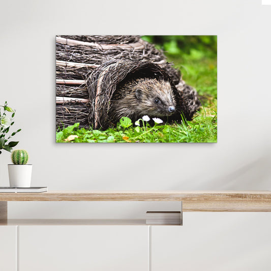 Wild Hedgehog in the Forest  Canvas Wall Art