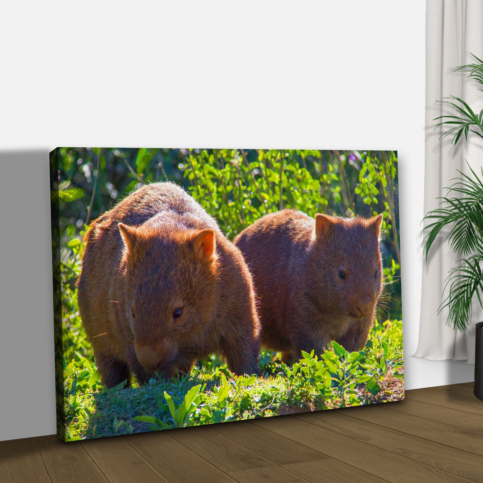 Wombat Habitat Canvas Wall Art