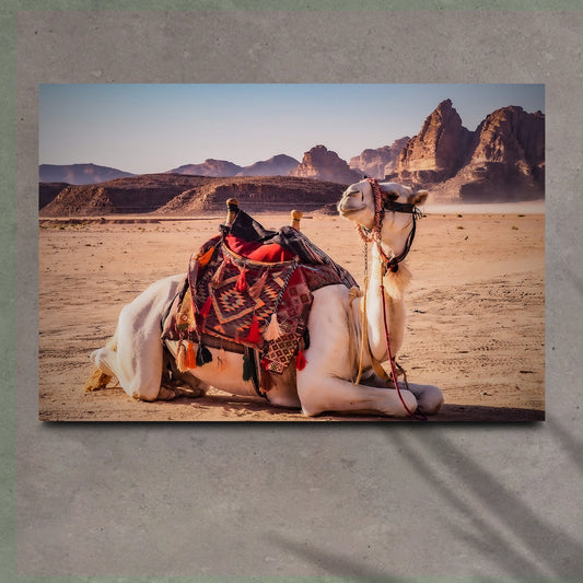 Wadi Rum Adventure  Camel in Wadi Rum Desert Canvas Wall Art