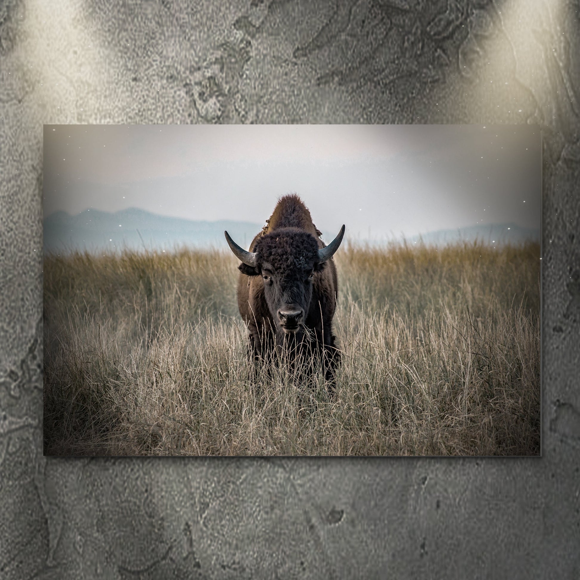 Majestic American Bison Canvas