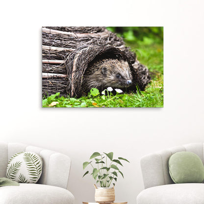 Wild Hedgehog in the Forest  Canvas Wall Art