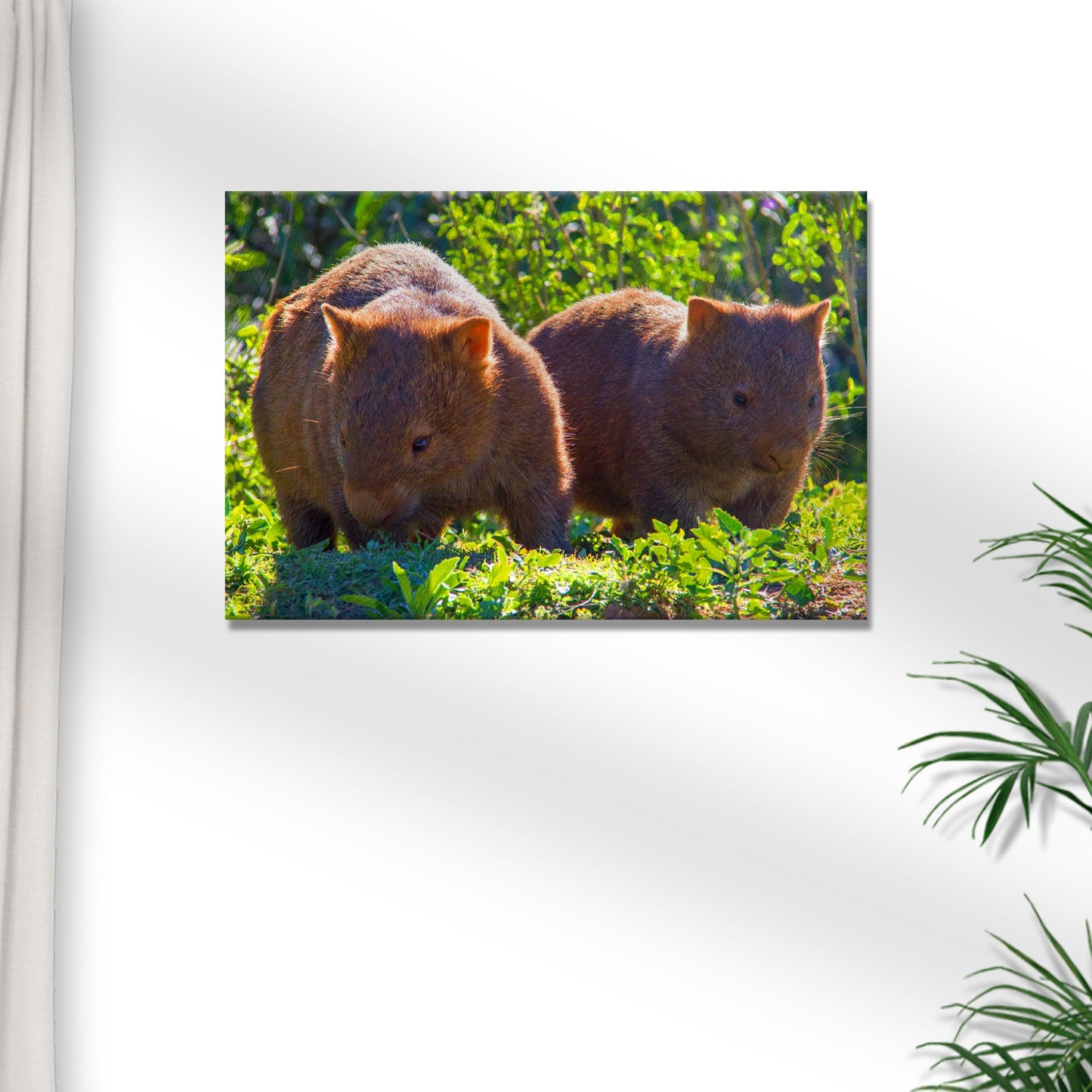 Wombat Habitat Canvas Wall Art