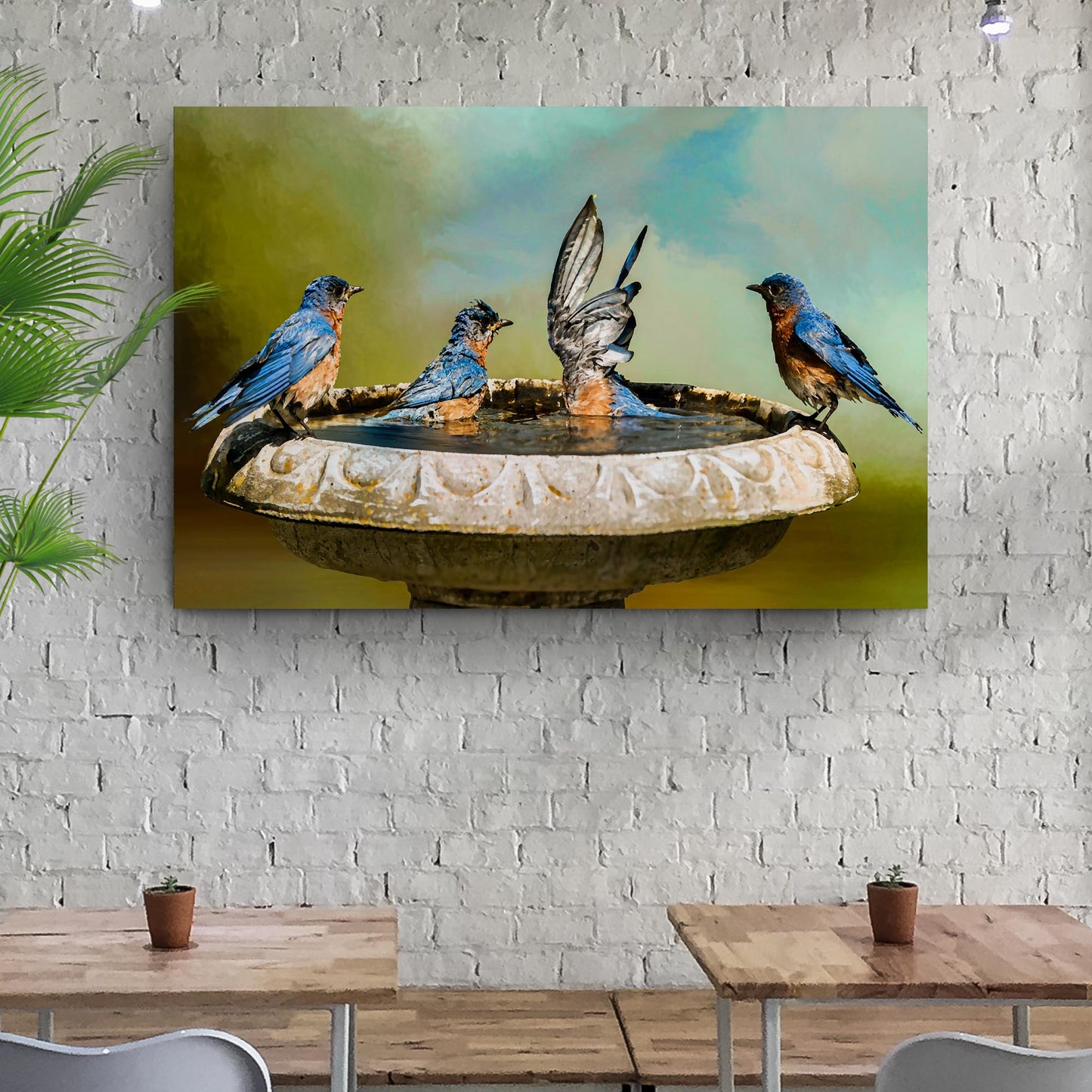 Bluebirds' Bath Time Canvas Wall Art