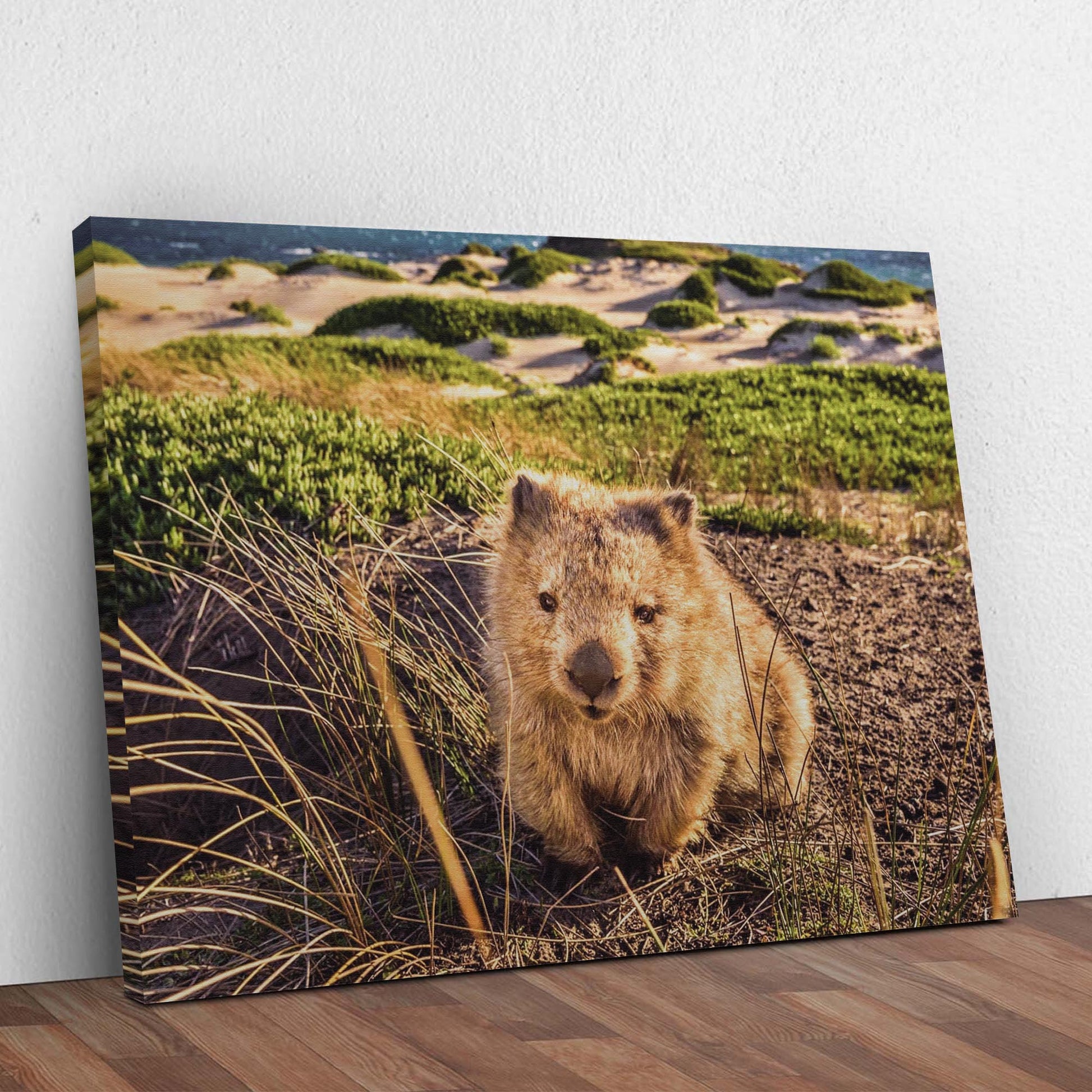 Wombat on the Grass  Canvas Wall Art in the Forest