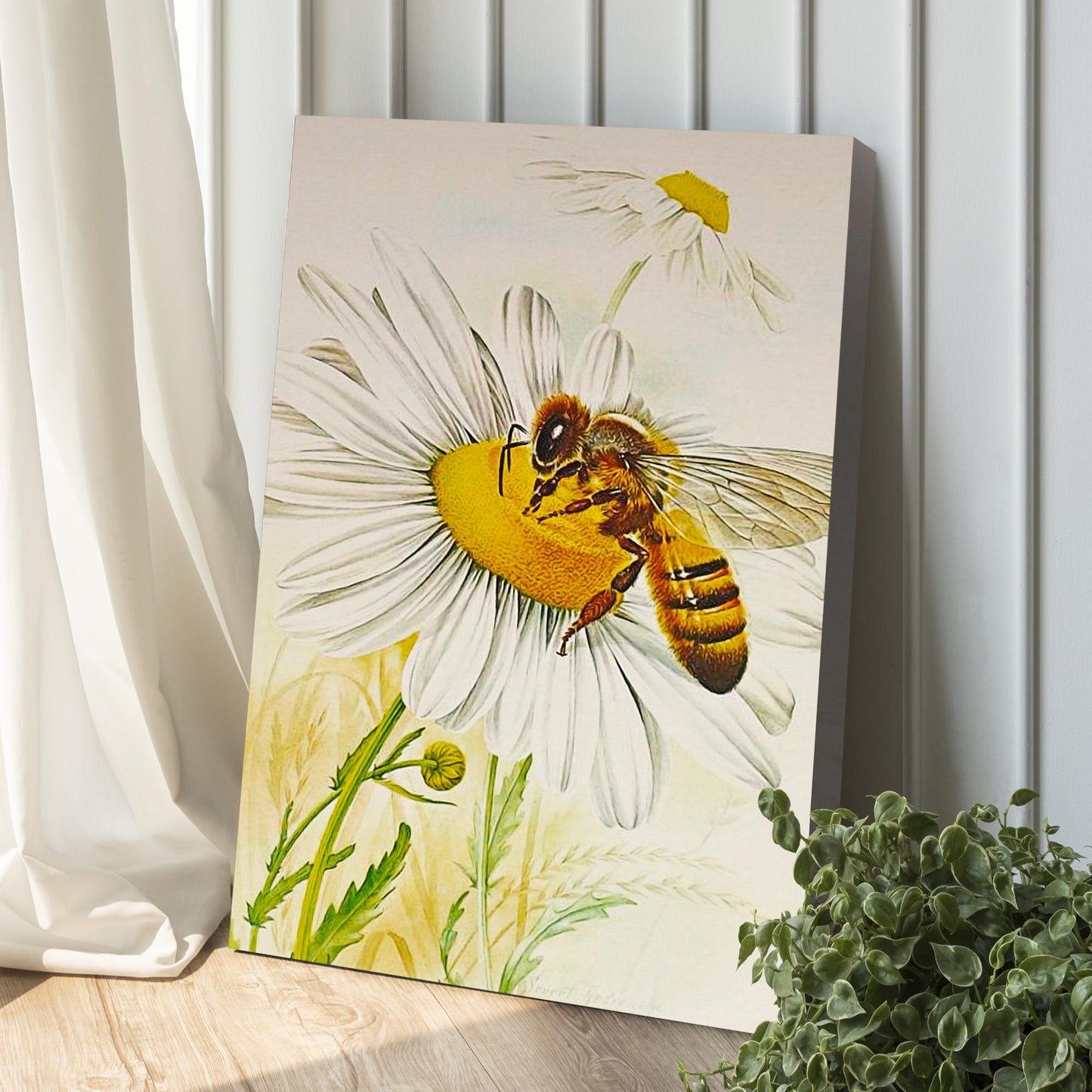 Nectar Collection Collecting Nectar Canvas Wall Art