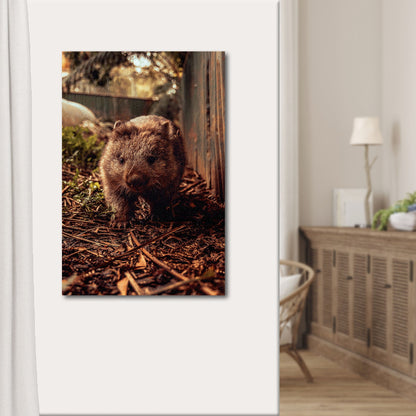 Wombat in the Forest  Canvas Wall Art with Wildlife
