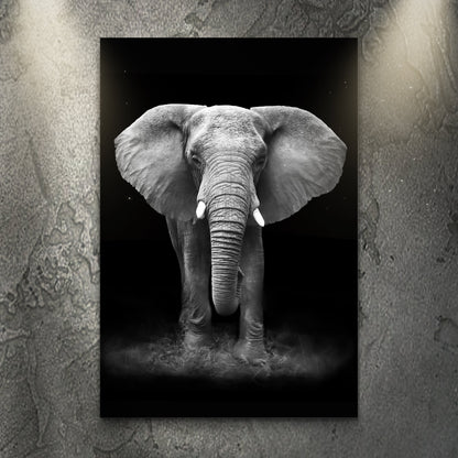 Elephant's Monochrome Majesty Canvas Wall Art