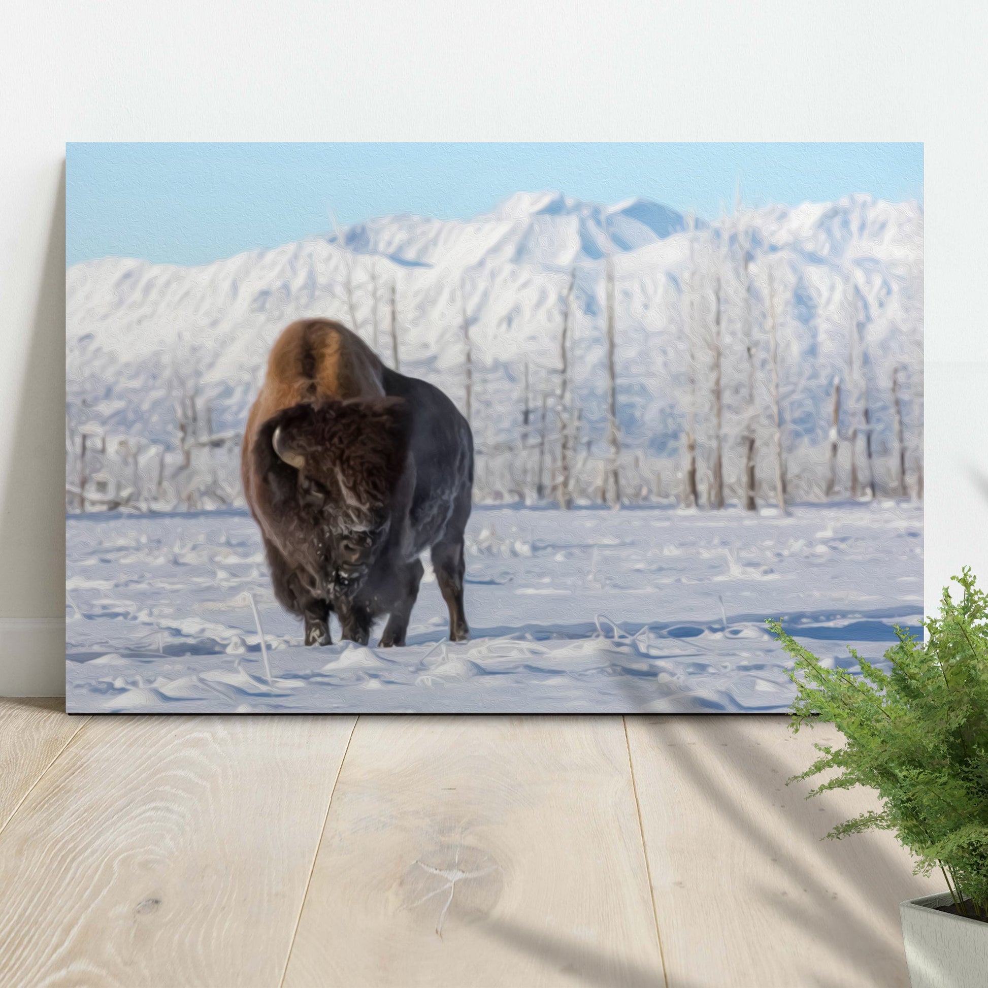 Winter Bison Dreams Canvas Wall Art