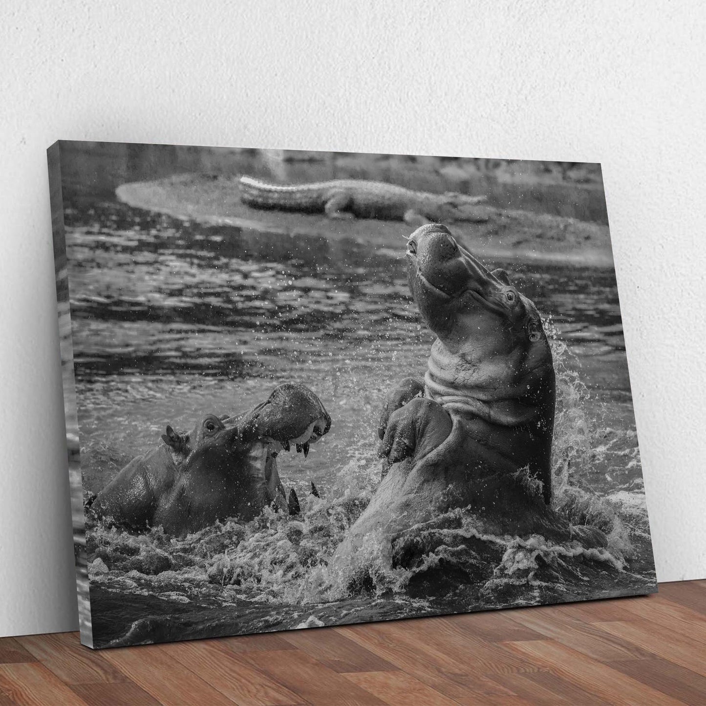 Hippo Haven Black and White Canvas Wall Art