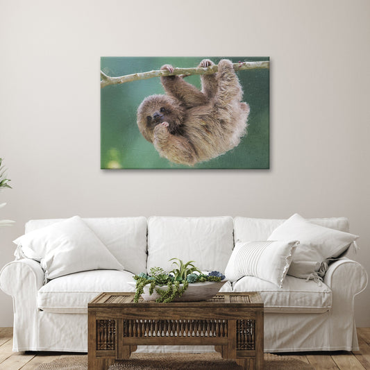 Baby Sloth on Canvas  Wall Art from the Forest