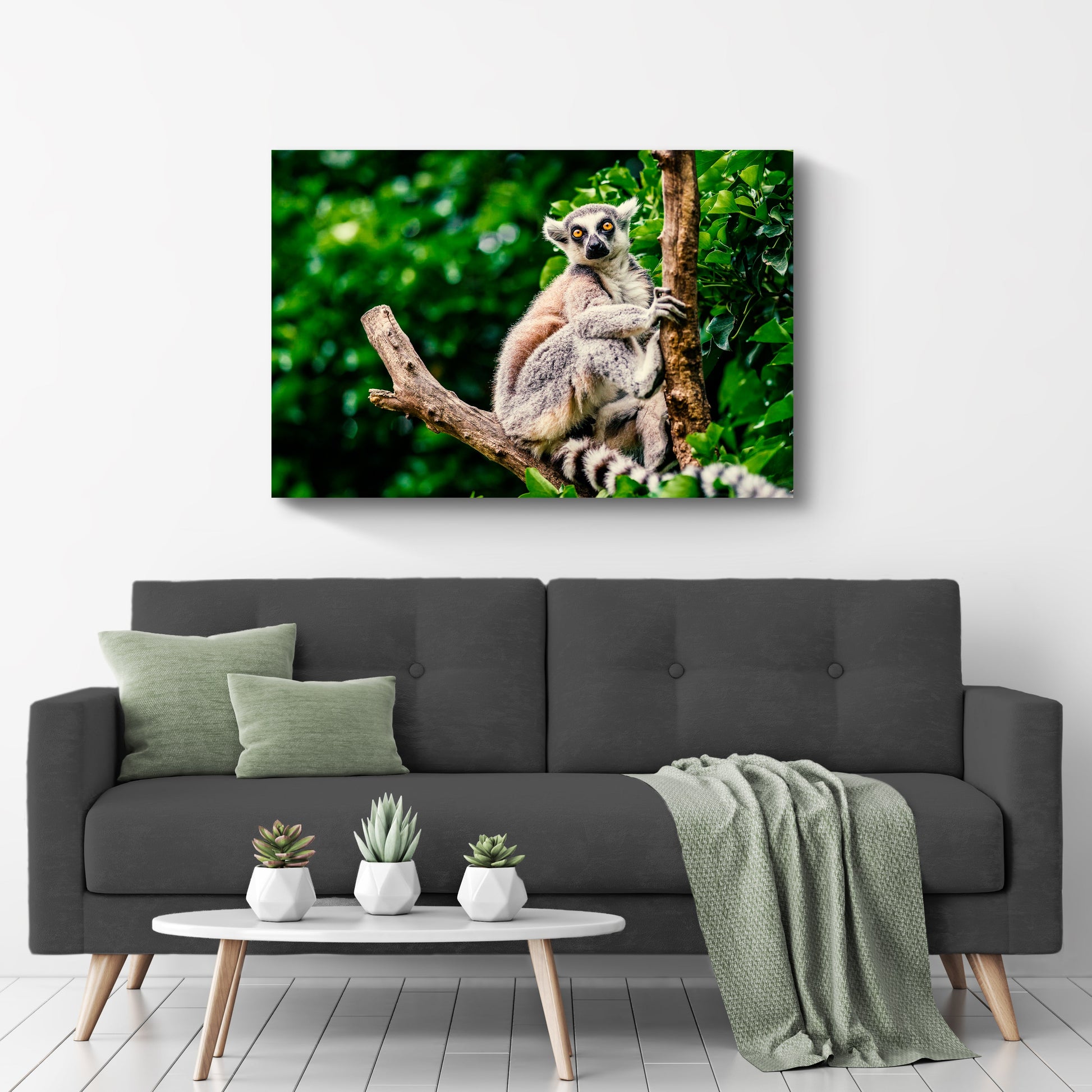 Wild Lemur Adventures  Canvas Wall Art in the Forest