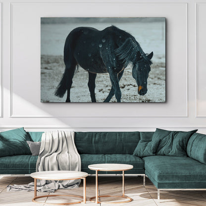 Winter Elegance  Black Horse in Cattle Canvas Wall Art